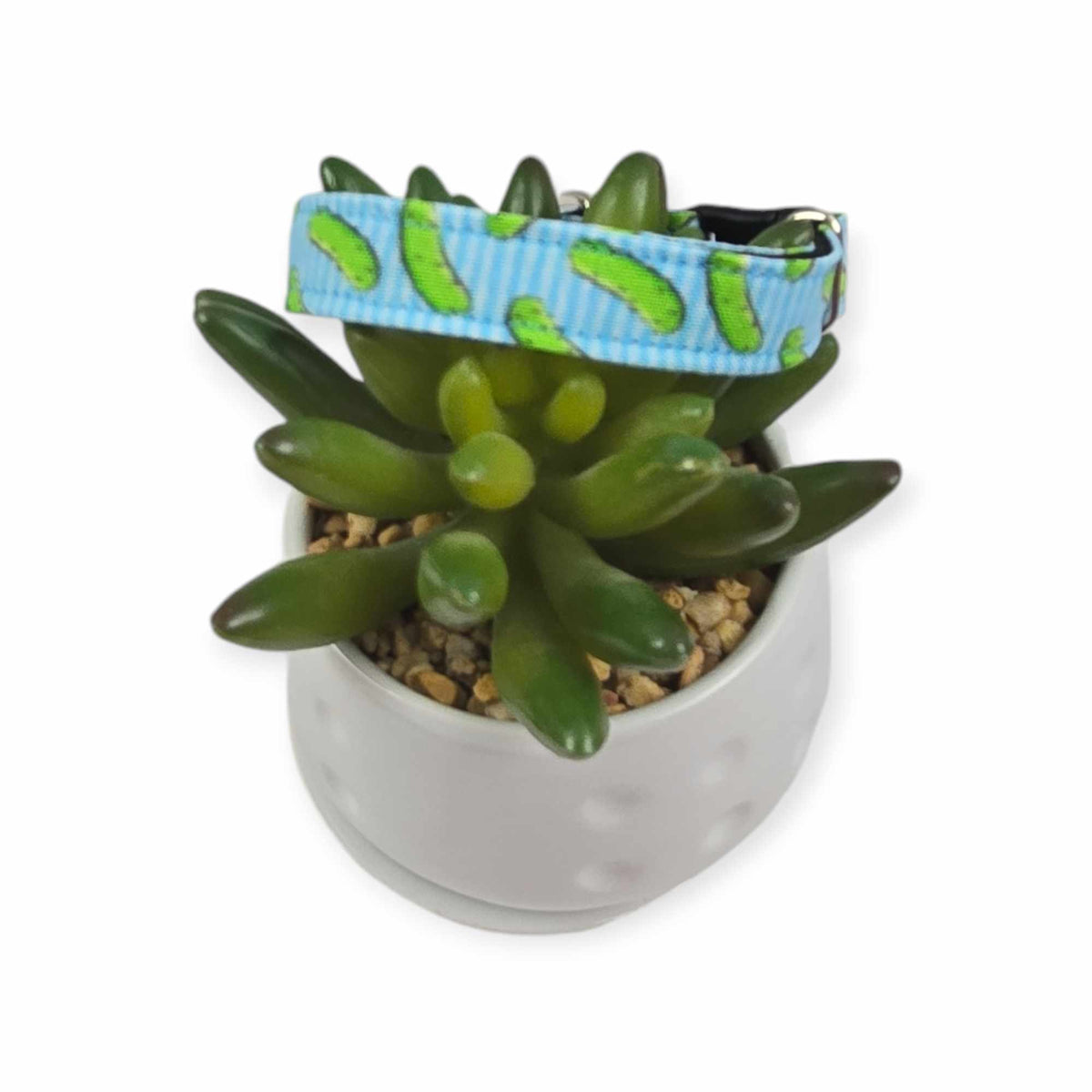 Pickles w/ Blue Stripes Kitty Collar (X-Small)