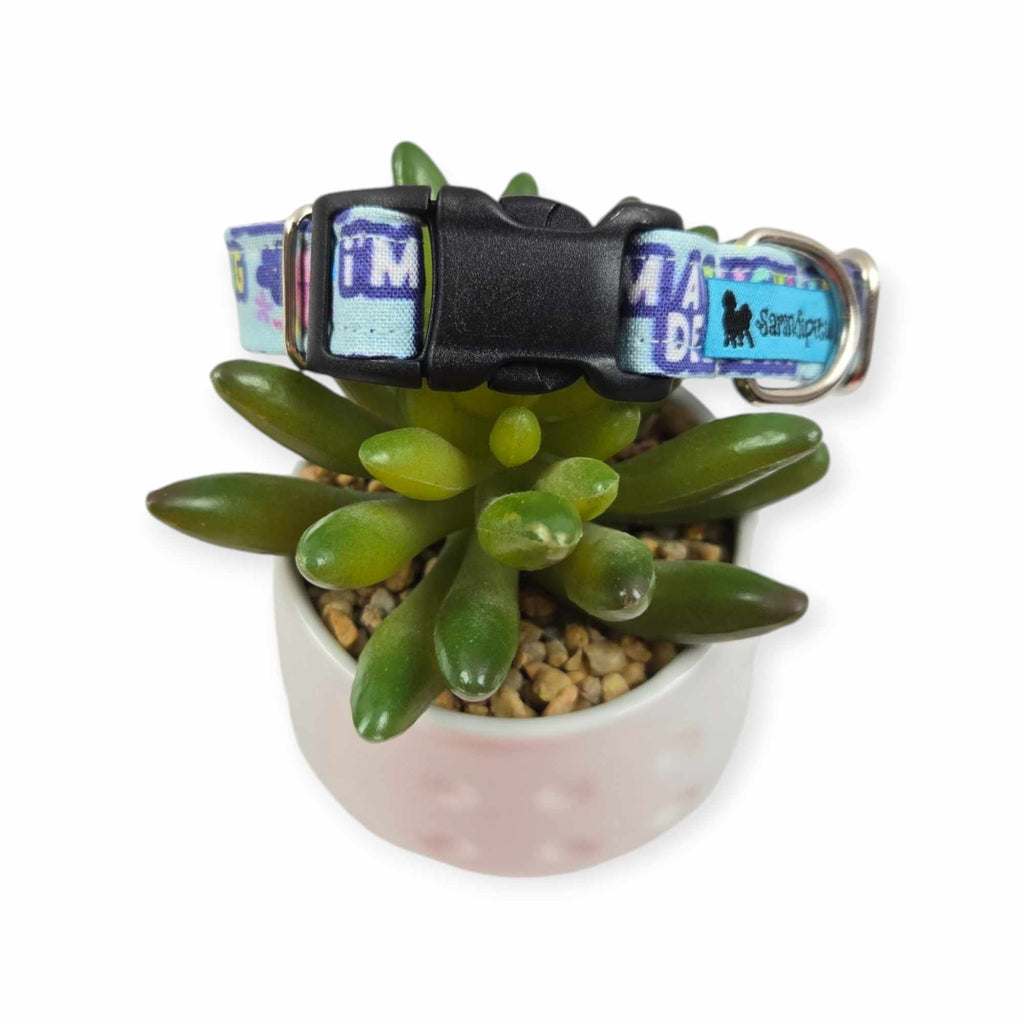 I'm a Delight Dog collar (Small)