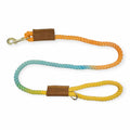 Aqua/Orange/Yellow Cotton Rope leash (4.5')