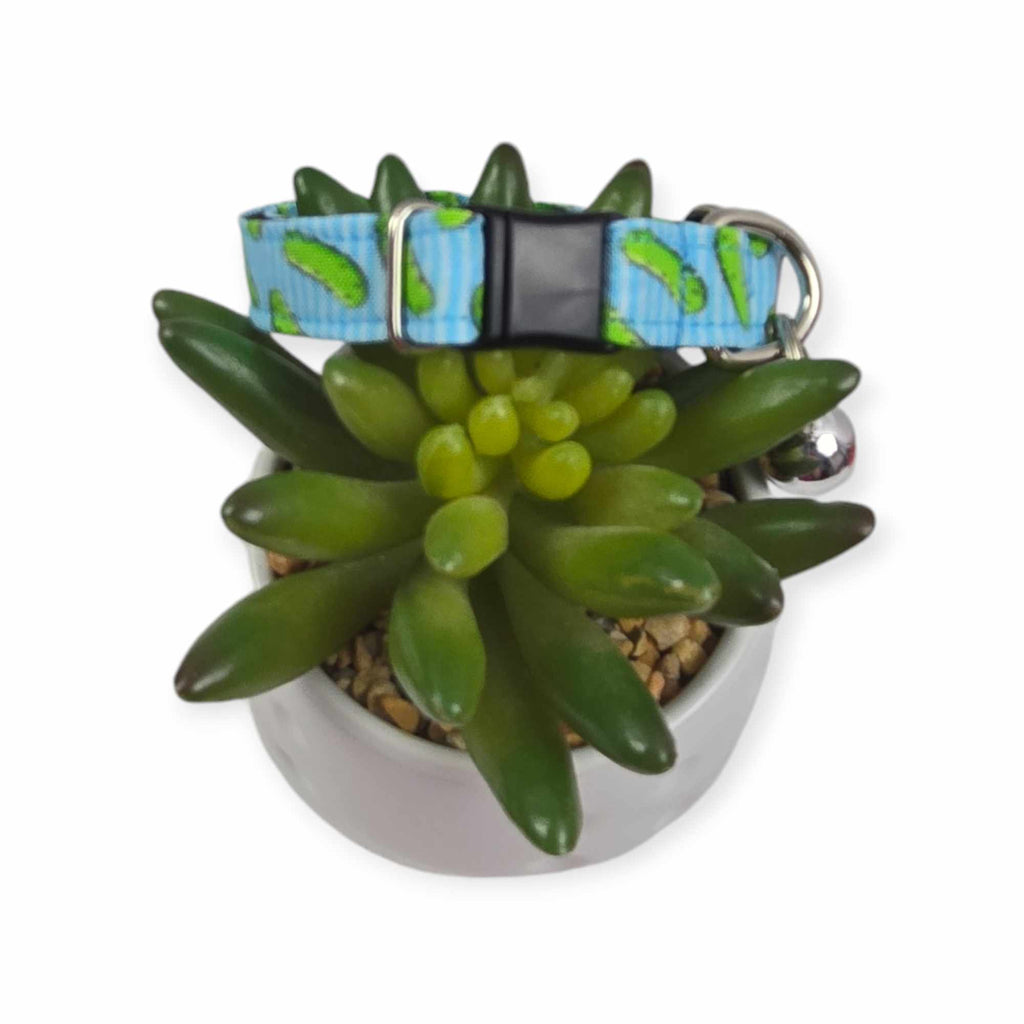 Pickles w/ Blue Stripes Kitty Collar (X-Small)
