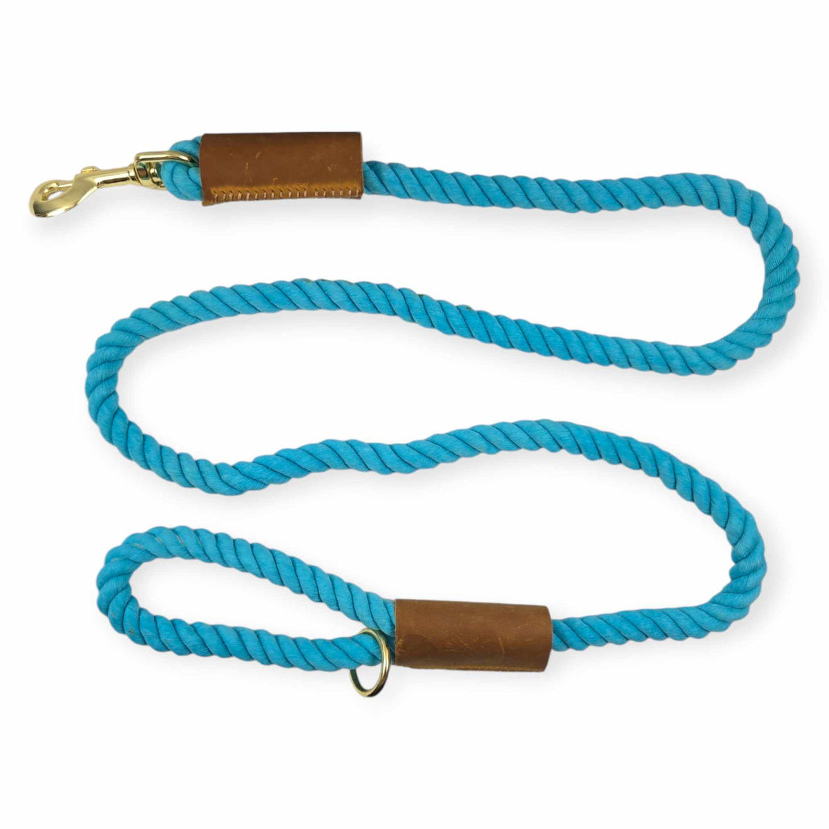 Aqua Cotton Rope leash (5.5')