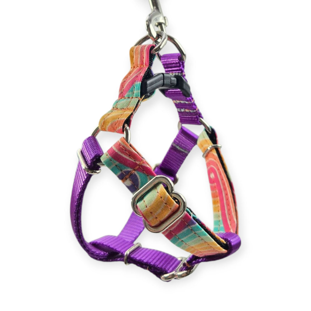 Retro Rainbow Swirls & Purple Step-In Harness (X-Small)