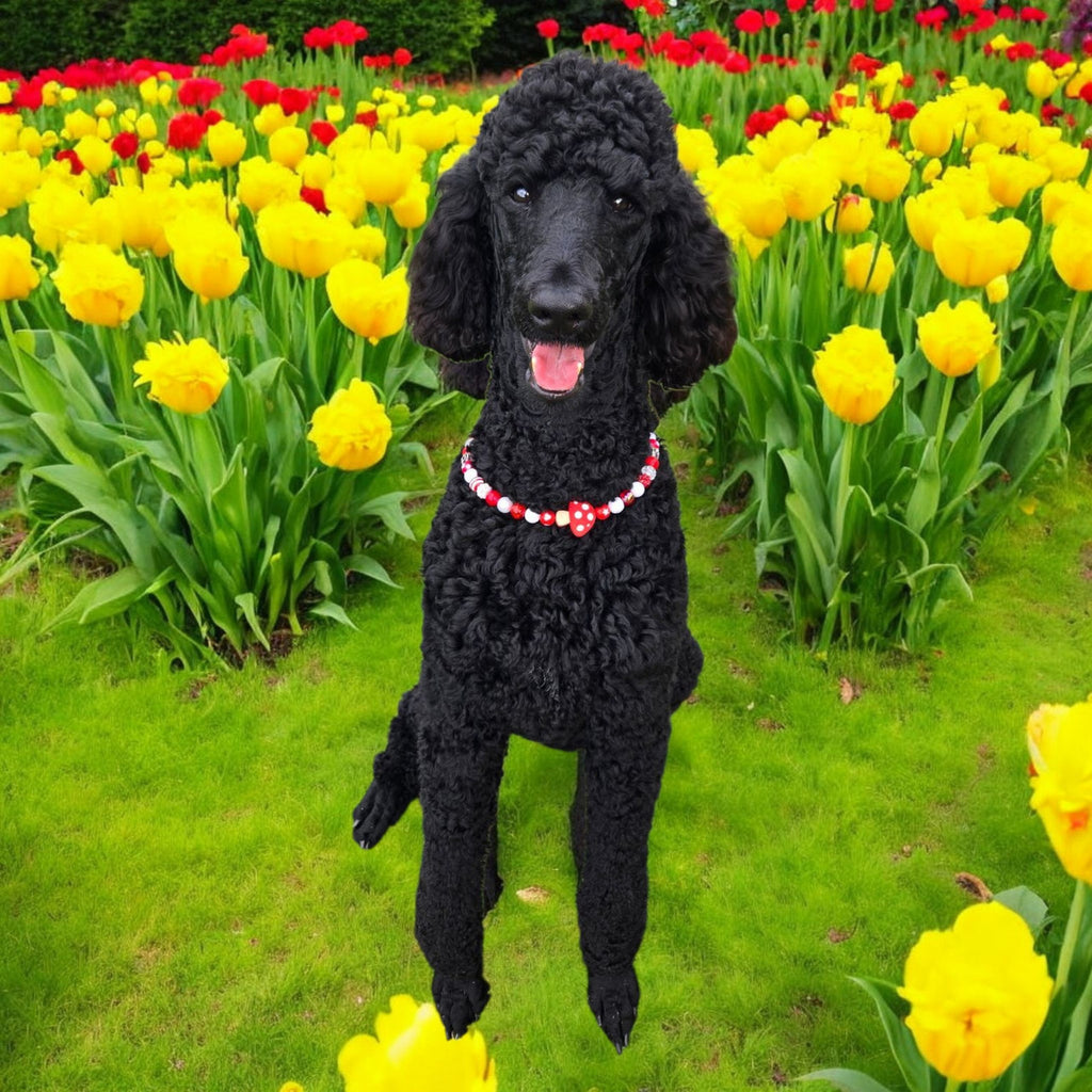 Matte Turquoise Pearl Beaded Collar - 17"
