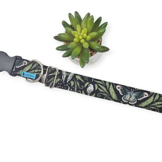 Moonflower in Midnight Dog Collar (Large, 1.5" wide)