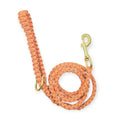 Orange & Cream Paracord leash (5')