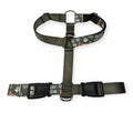 Best Friend SureFit Harness (Medium/Large)