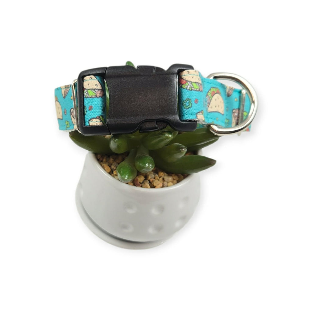 Tacos on Aqua Dog Collar (Medium, 1" Wide)