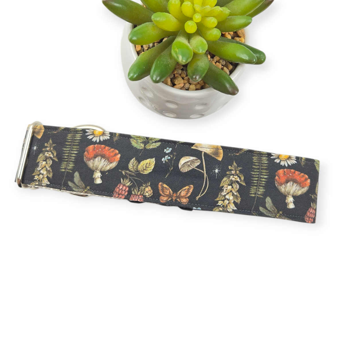 Mushrooms on Black Dog collar (Large, 1.5" wide)