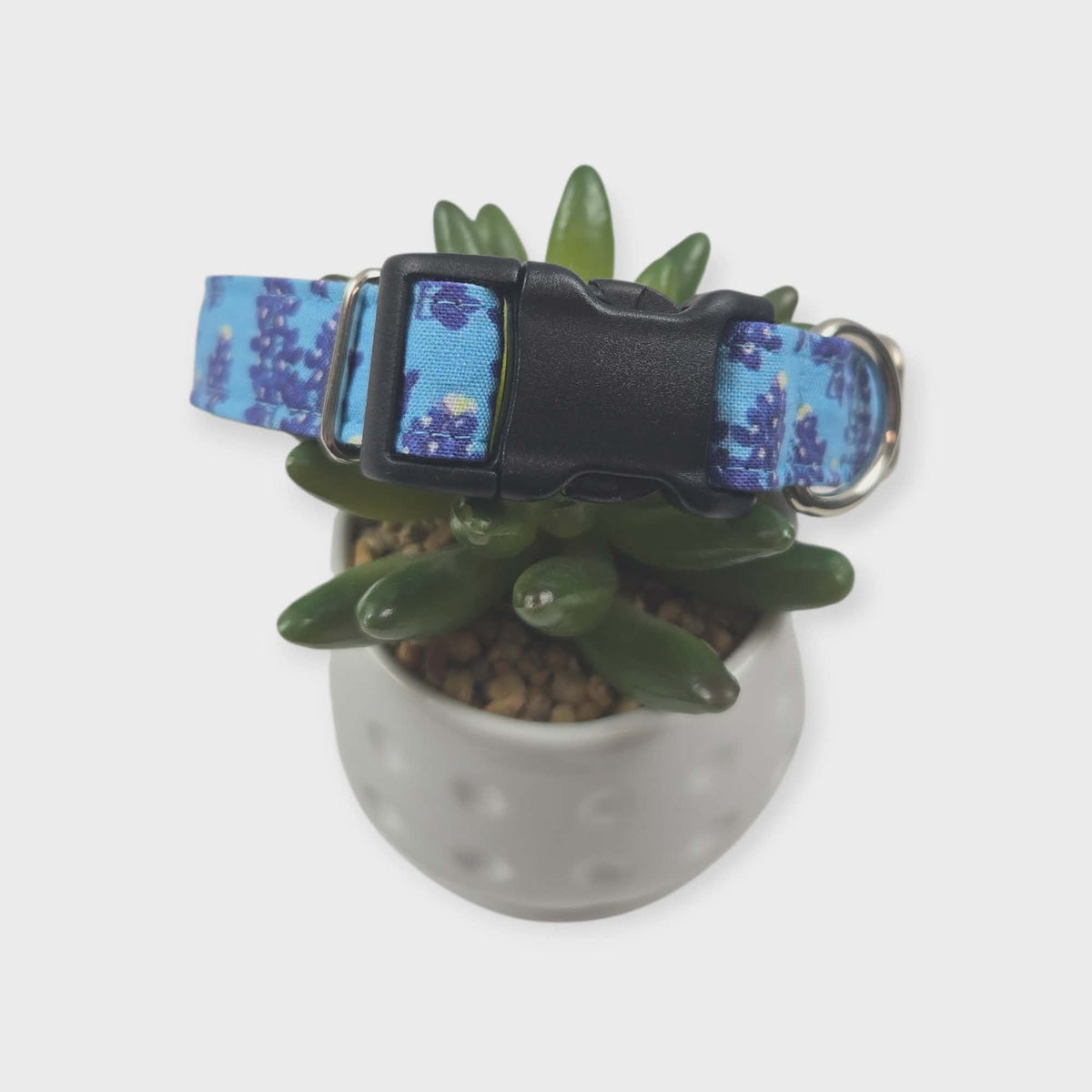 Texas Bluebonnet Wildflowers Dog Collar (Small, 3/4" wide)