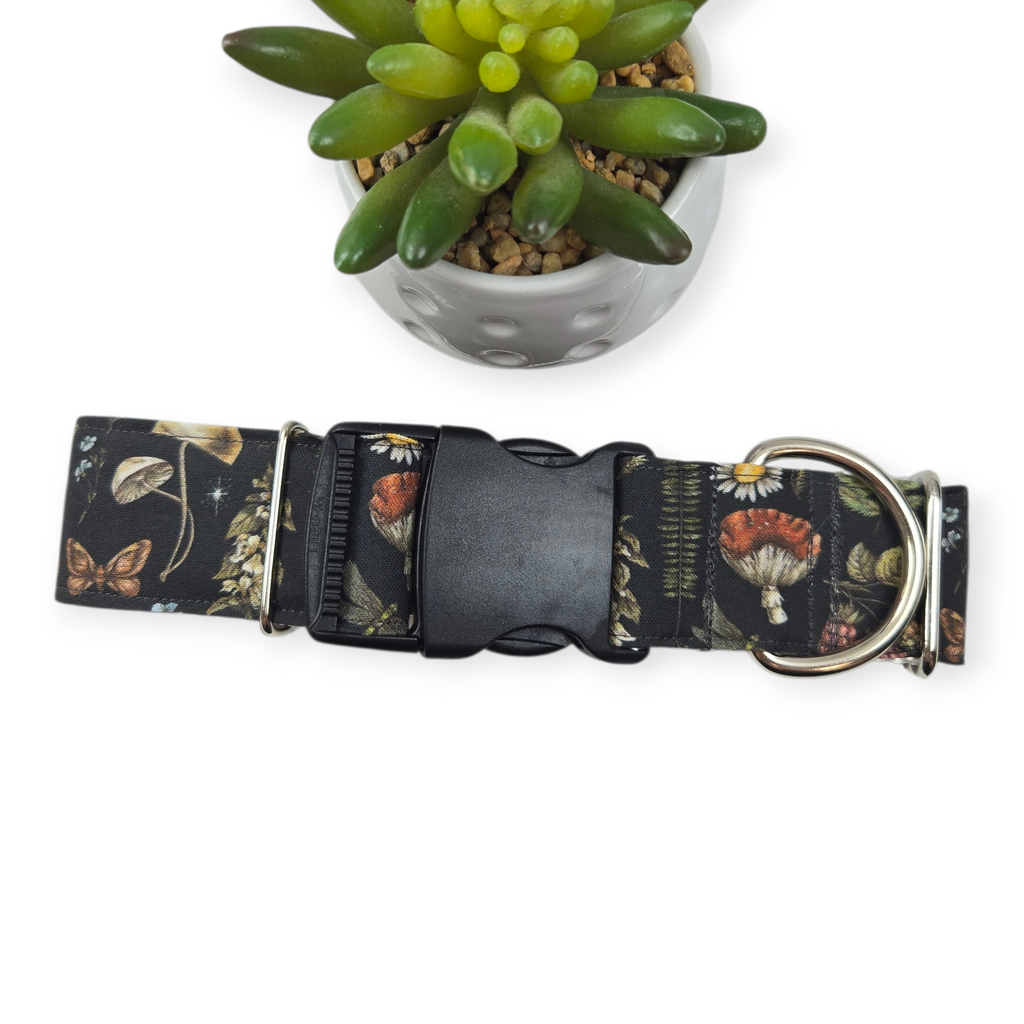Mushrooms on Black Dog collar (Large, 1.5" wide)
