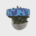 Texas Bluebonnet Wildflowers Dog Collar (Medium, 1" wide)