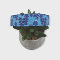 Texas Bluebonnet Wildflowers Dog Collar (Large)