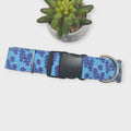 Texas Bluebonnet Wildflowers Dog Collar (X-Large, 1.5" wide)