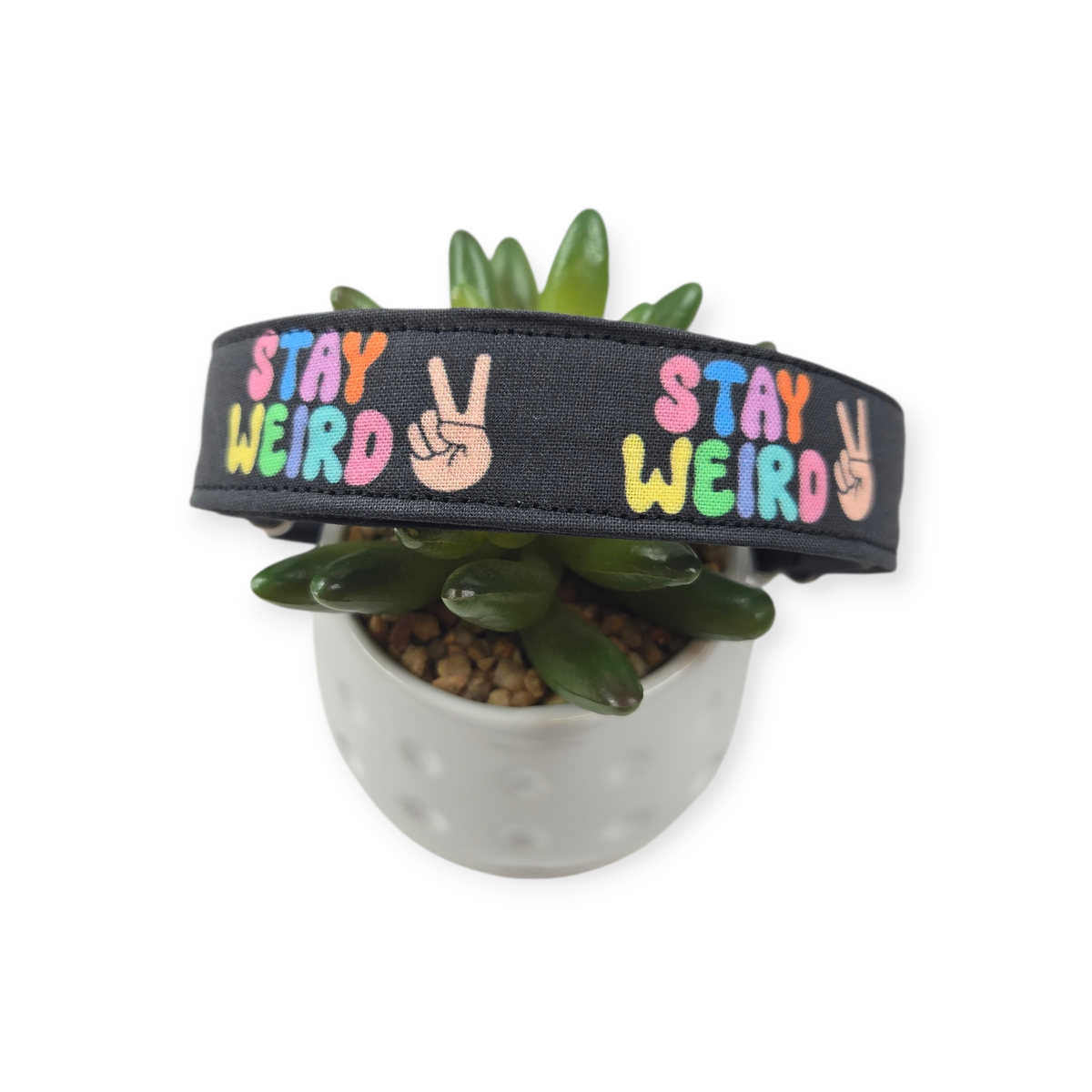 Stay Weird Dog Collar (Large)