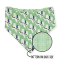 Bluebonnets & Texas/Mint Plaid Reversible Bandana