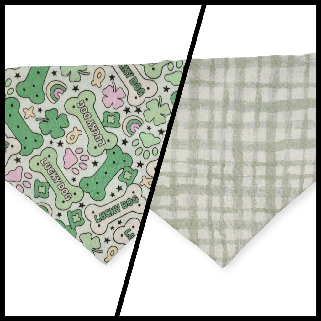 St. Patrick's Day Lucky Dog / Gingham Sage Plaid Slip-on Scrunchie Bandana (Small)