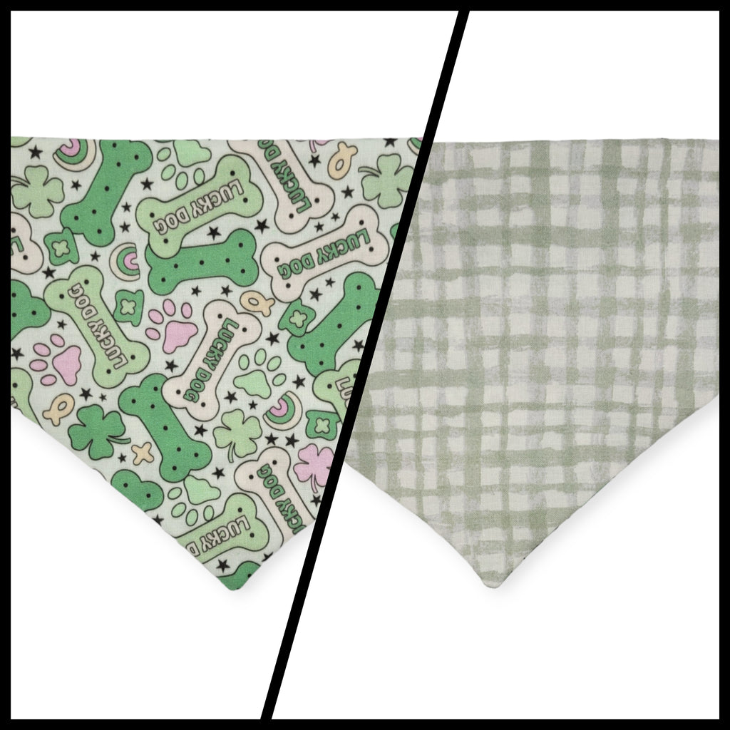 St. Patrick's Day Lucky Dog / Gingham Sage Plaid Slip-on Scrunchie Bandana (Medium)