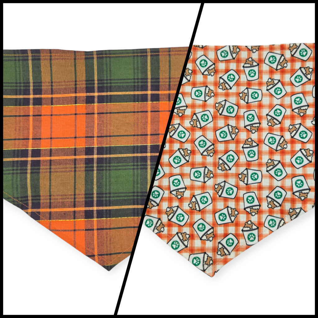 Pumpkin Spice Pup Cup/Green & Orange Plaid Tie-on Bandana (Large)