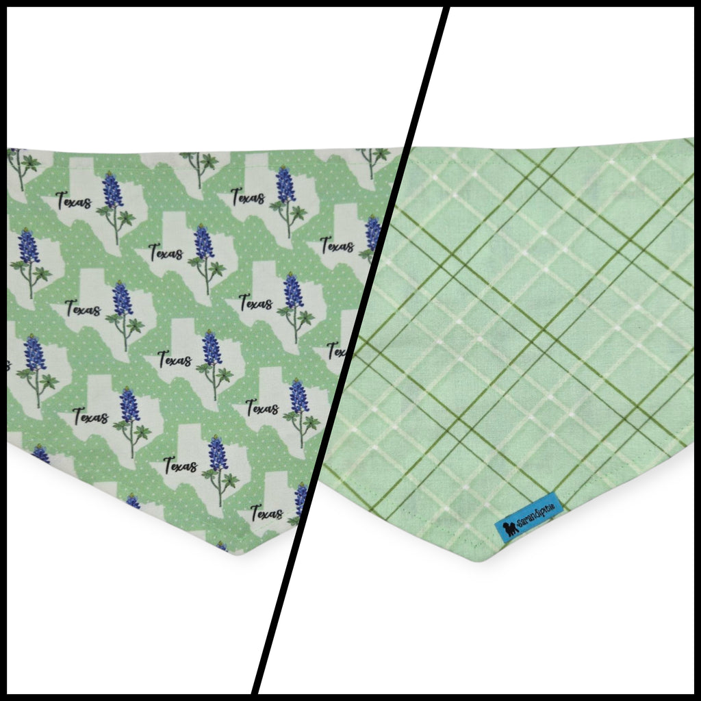 Bluebonnets & Texas /Mint Plaid Reversible Tie-on Bandana (Medium)