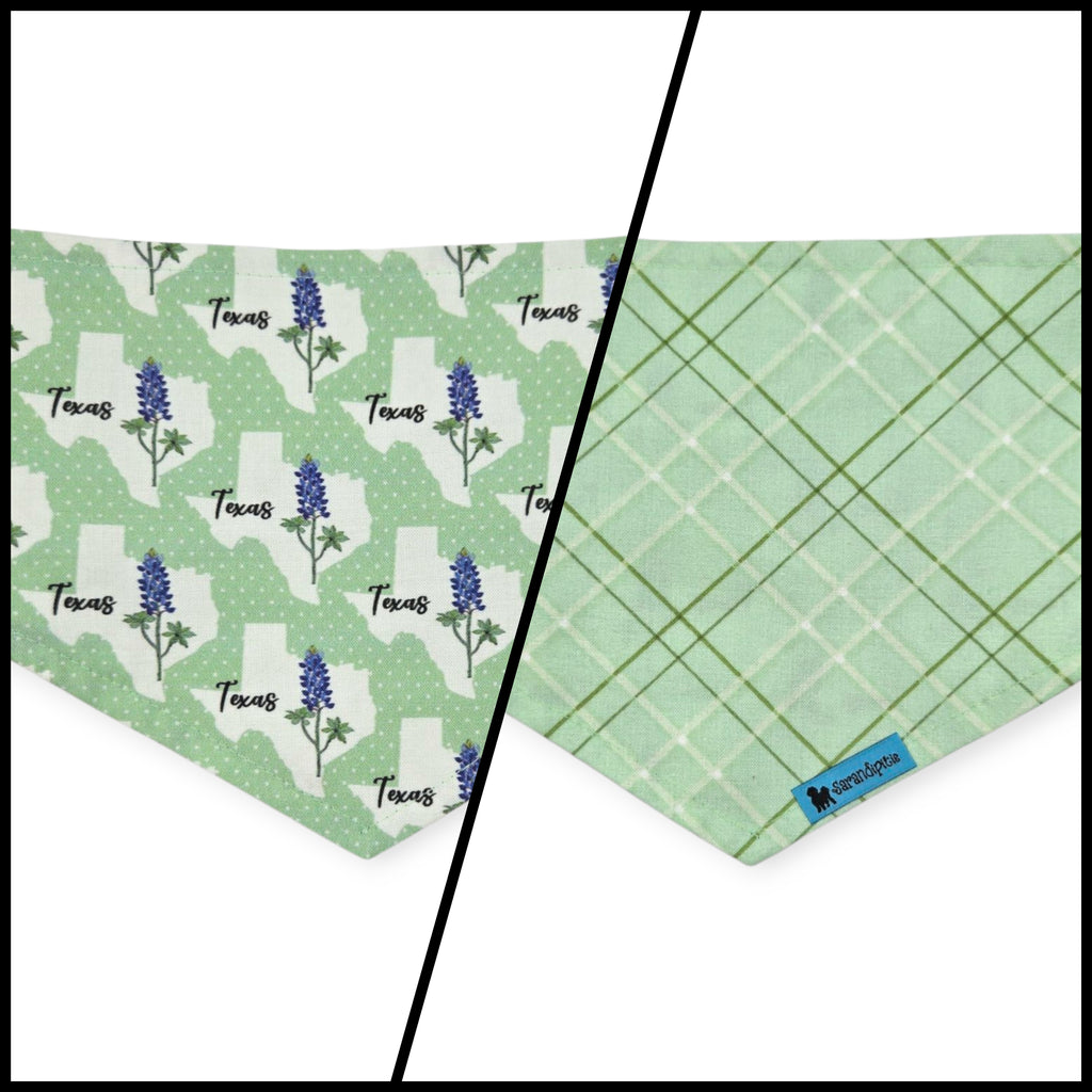 Bluebonnets & Texas /Mint Plaid Reversible Tie-on Bandana (Small)