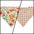 Peach Tree on White/Peach Windowpane Plaid Reversible Slip-on Scrunchie Bandana (Medium/Large)