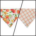 Peach Tree on White/Peach Windowpane Plaid Reversible Slide-on Bandana (Medium)