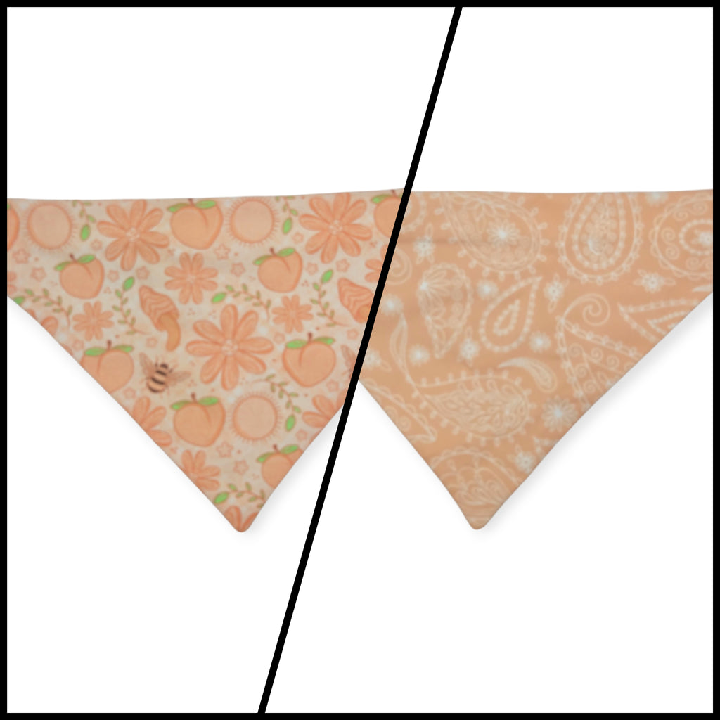 Peach Fuzz in Nature/Peach Floral Paisley Reversible Slide-on Bandana (Large)