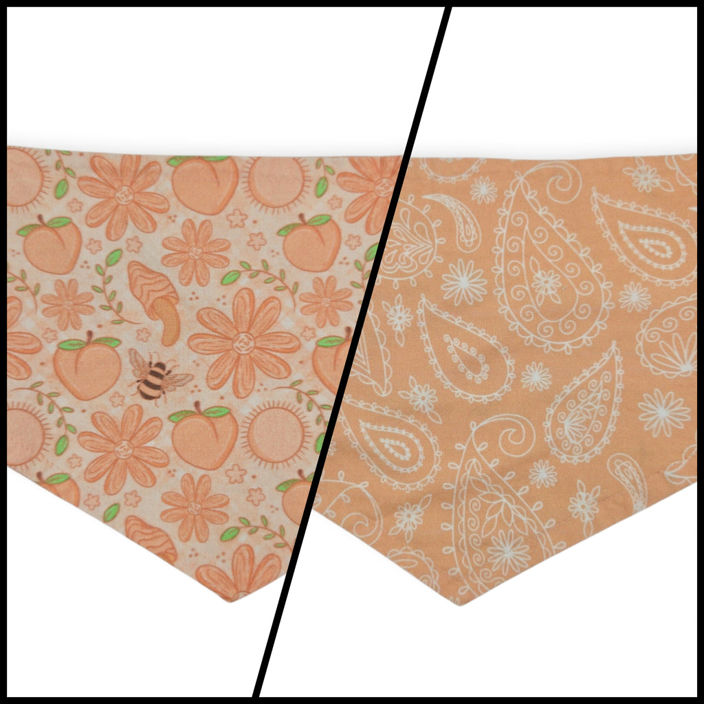 Peach Fuzz in Nature/Peach Floral Paisley Reversible Tie-on Bandana (Small)