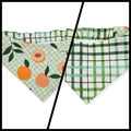 Peaches and Leaves Gingham Plaid/Multi Green Plaid Slip-on Scrunchie Bandana (Medium/Large)