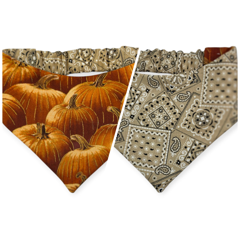 Pumpkin Patch/Tan Paisley Reversible Slip-on Scrunchie Bandana (Small/Medium)