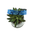 Blue Camo Bones Dog Collar (Medium)