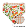 Peach Tree on White/Peach Windowpane Plaid Reversible Bandana