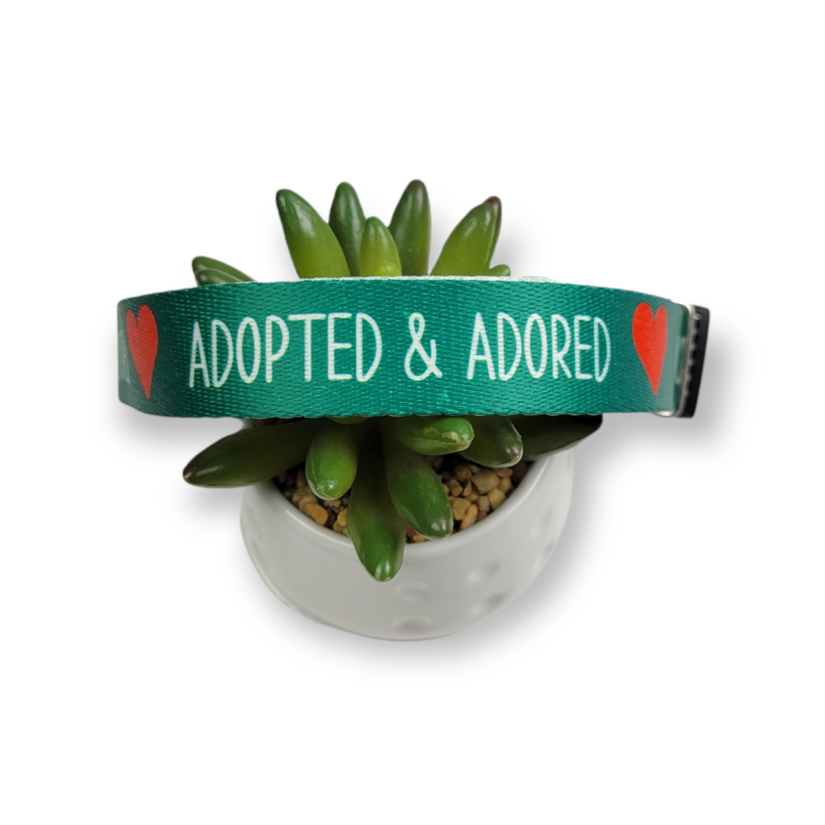 Adopted & Adored Martingale Dog Collar (Large)