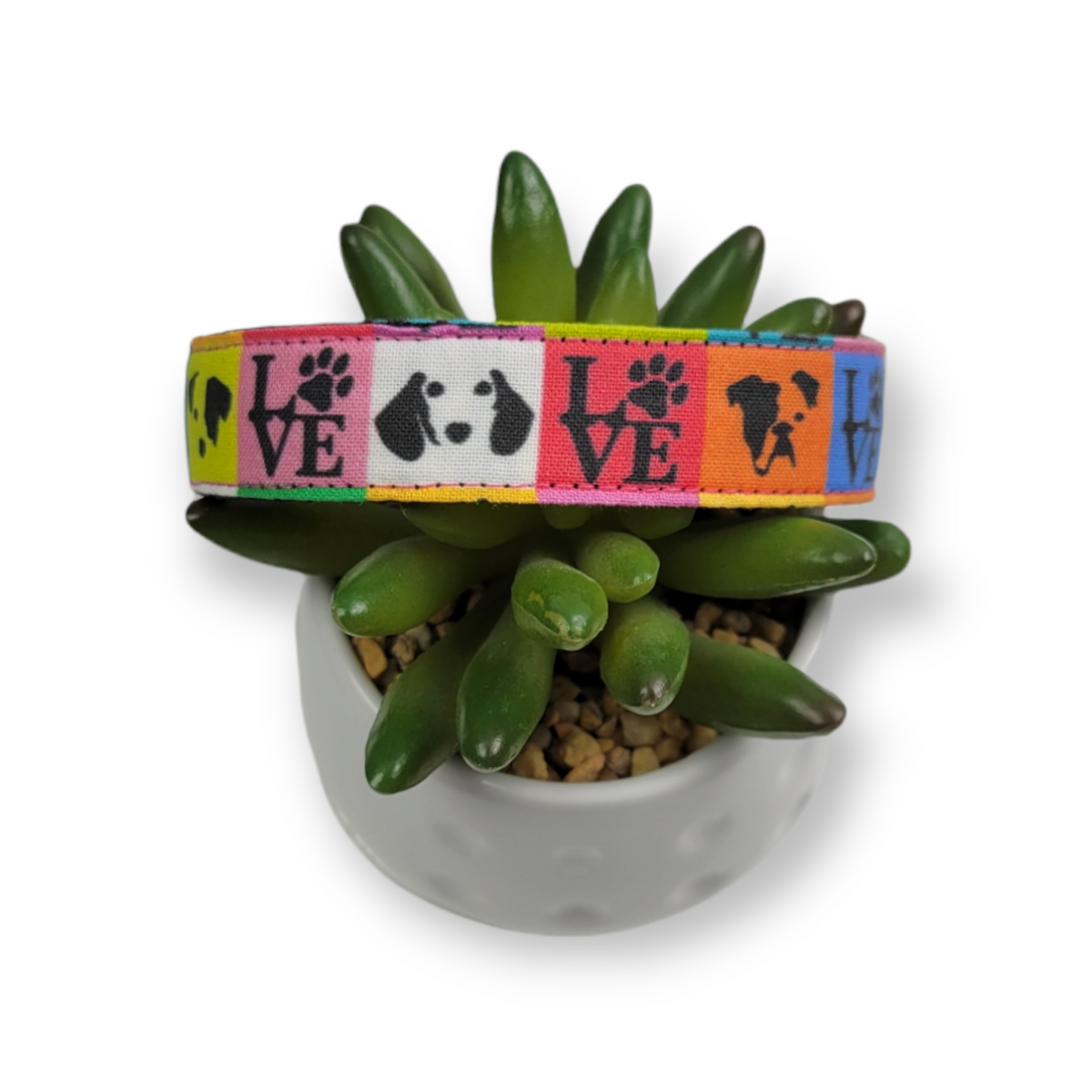 Pop Love dog collar (Medium)