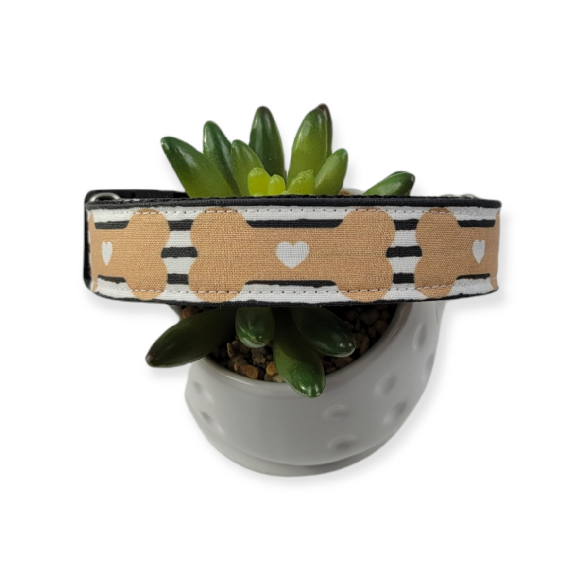 Bones & Stripes Dog Collar (Large)