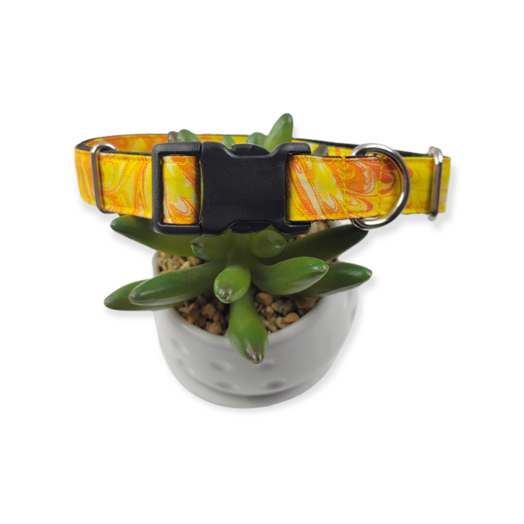 You are My Sunshine Dog Collar (Medium)