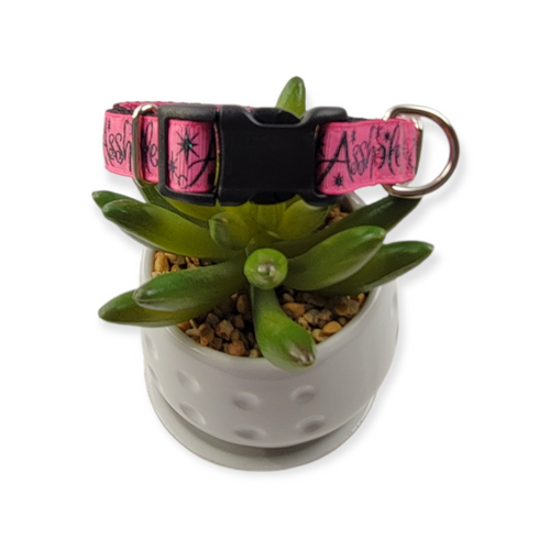 A$$hole on Pink dog collar (Small)