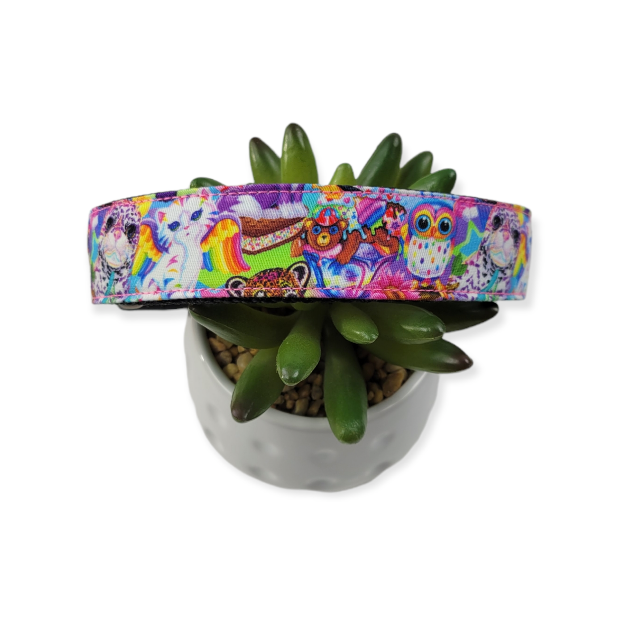 Lisa Frank Inspired  Dog Collar (Large)