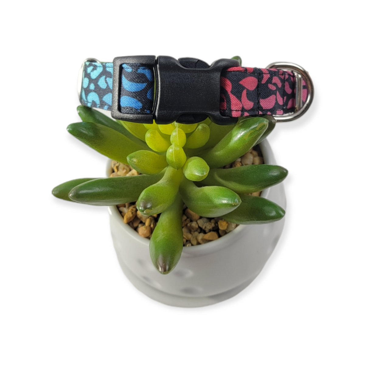 Rainbow Leopard Dog Collar (Small)