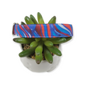 Patriotic Stained Glass Dog Collar (Medium)