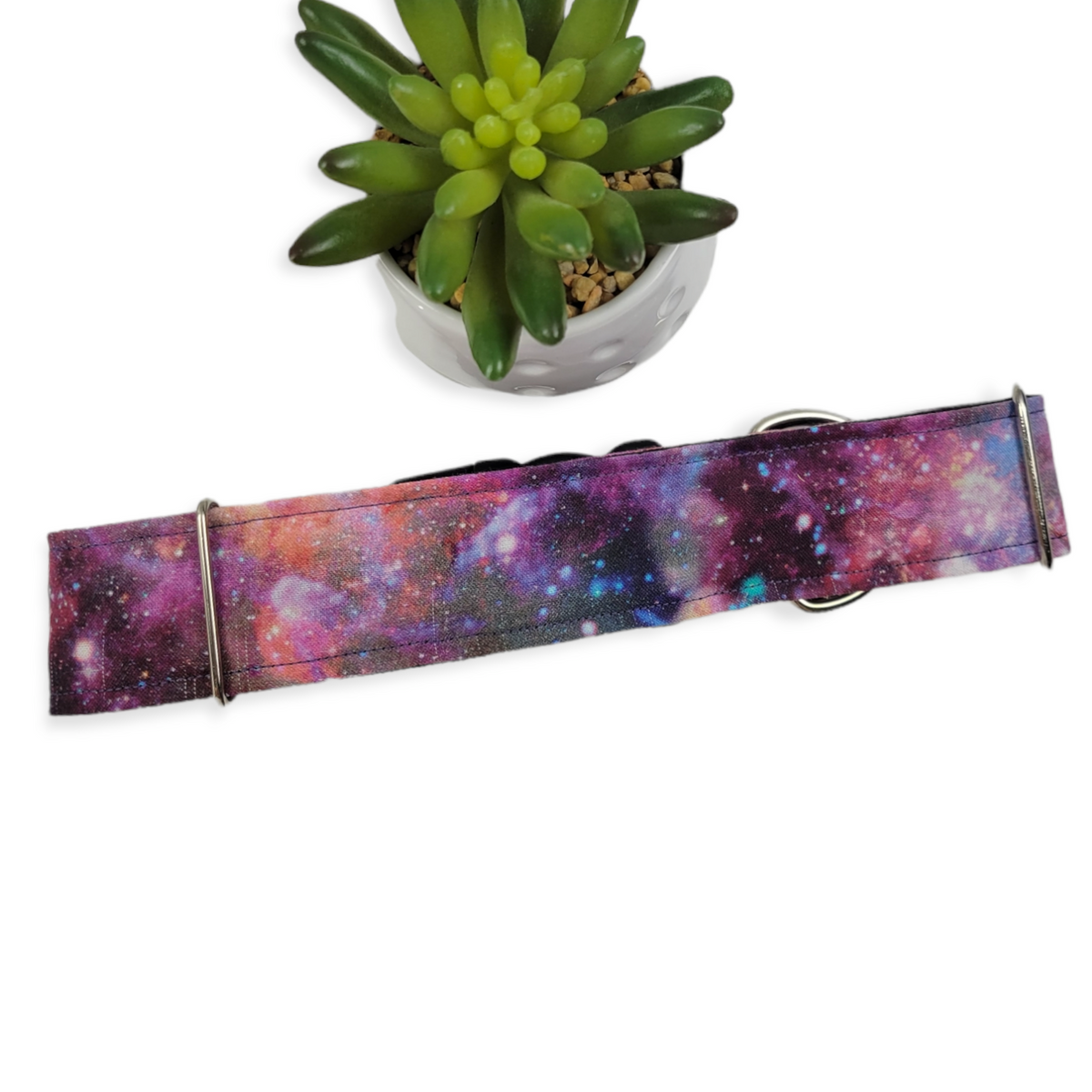 Nebula Dog Collar (X-Large, 1.5" wide)