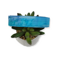 Ocean Stripe Dog Collar (Large)