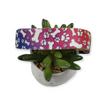 Trippy Doggo Dog Collar (Large)