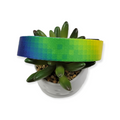 Digital Rainbow Dog Collar (Large)
