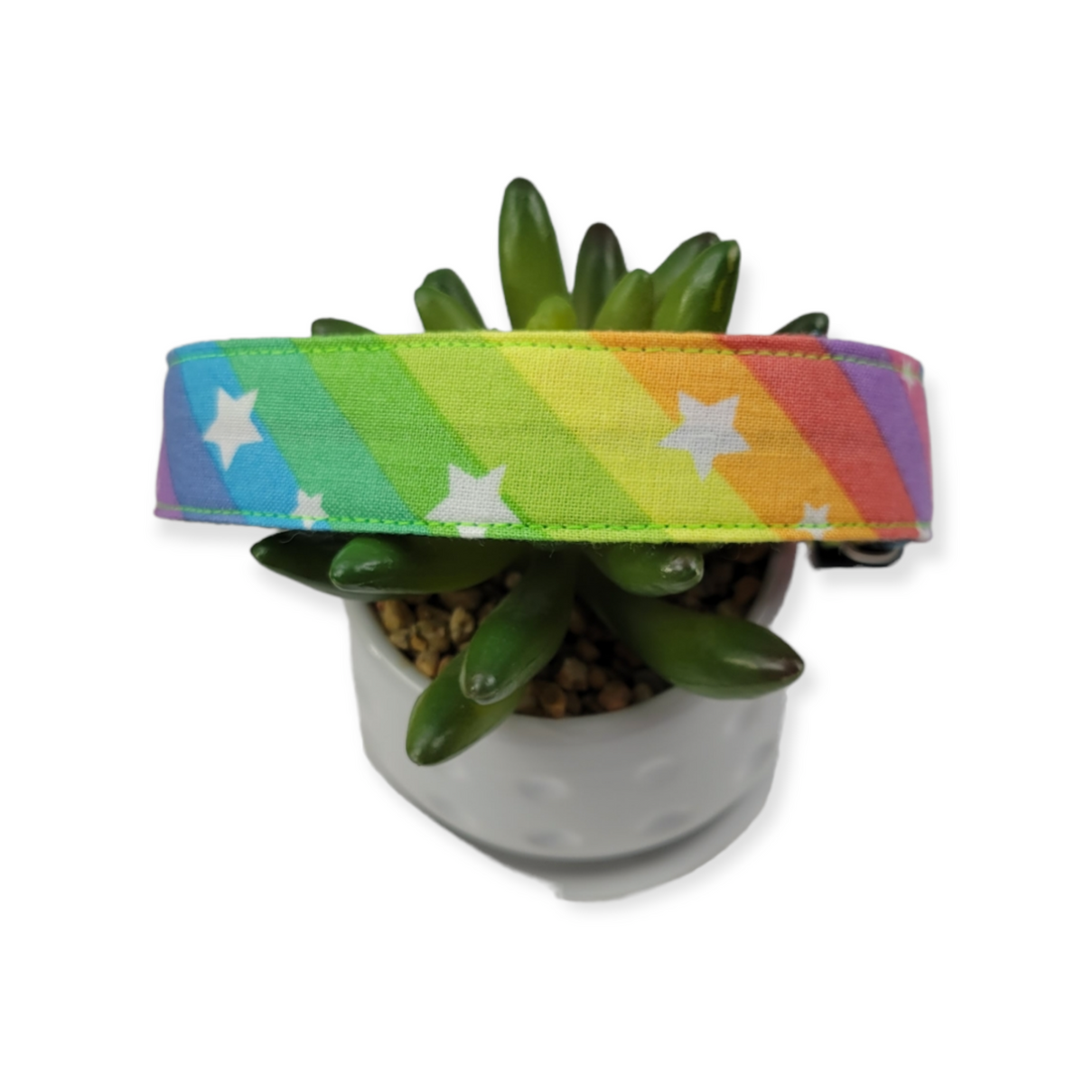 Rainbow Stars Dog Collar (Large)
