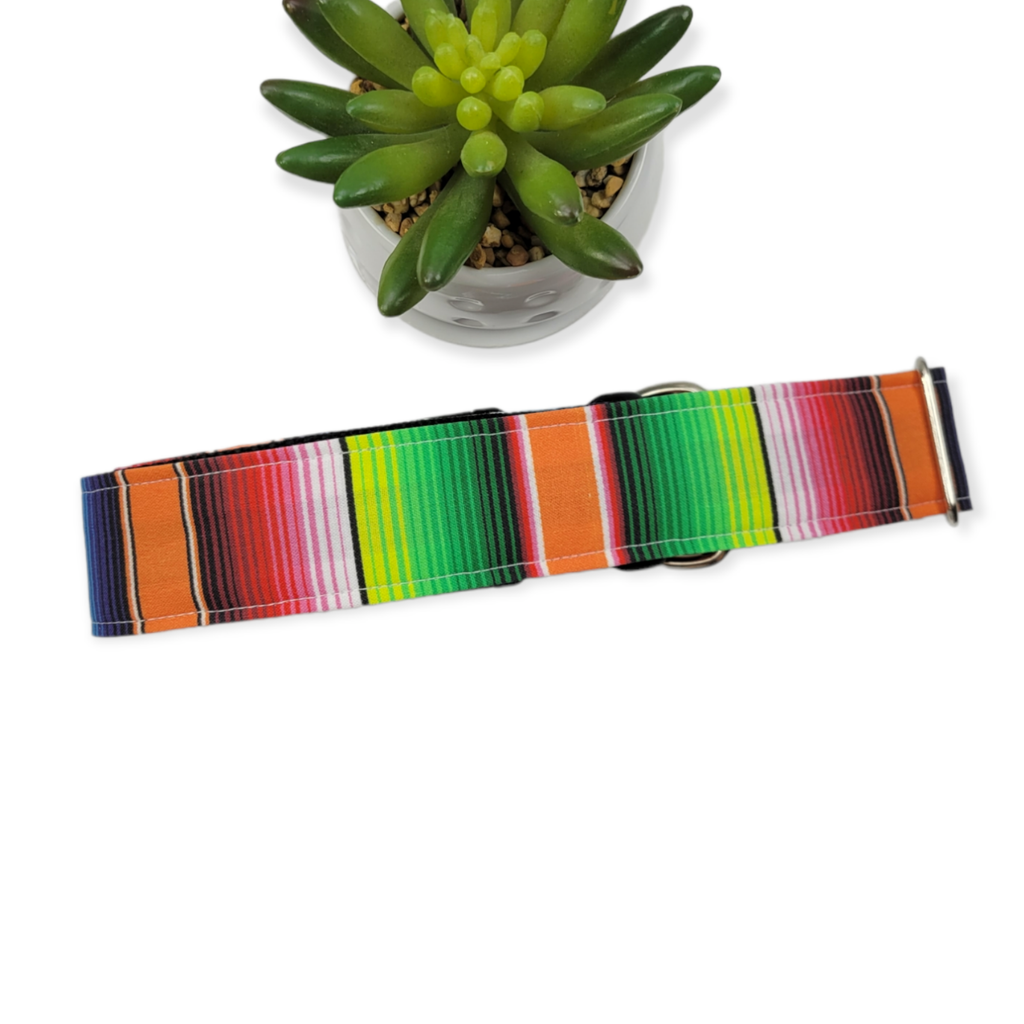 Serape Dog Collar (X-Large, 1.5" wide)