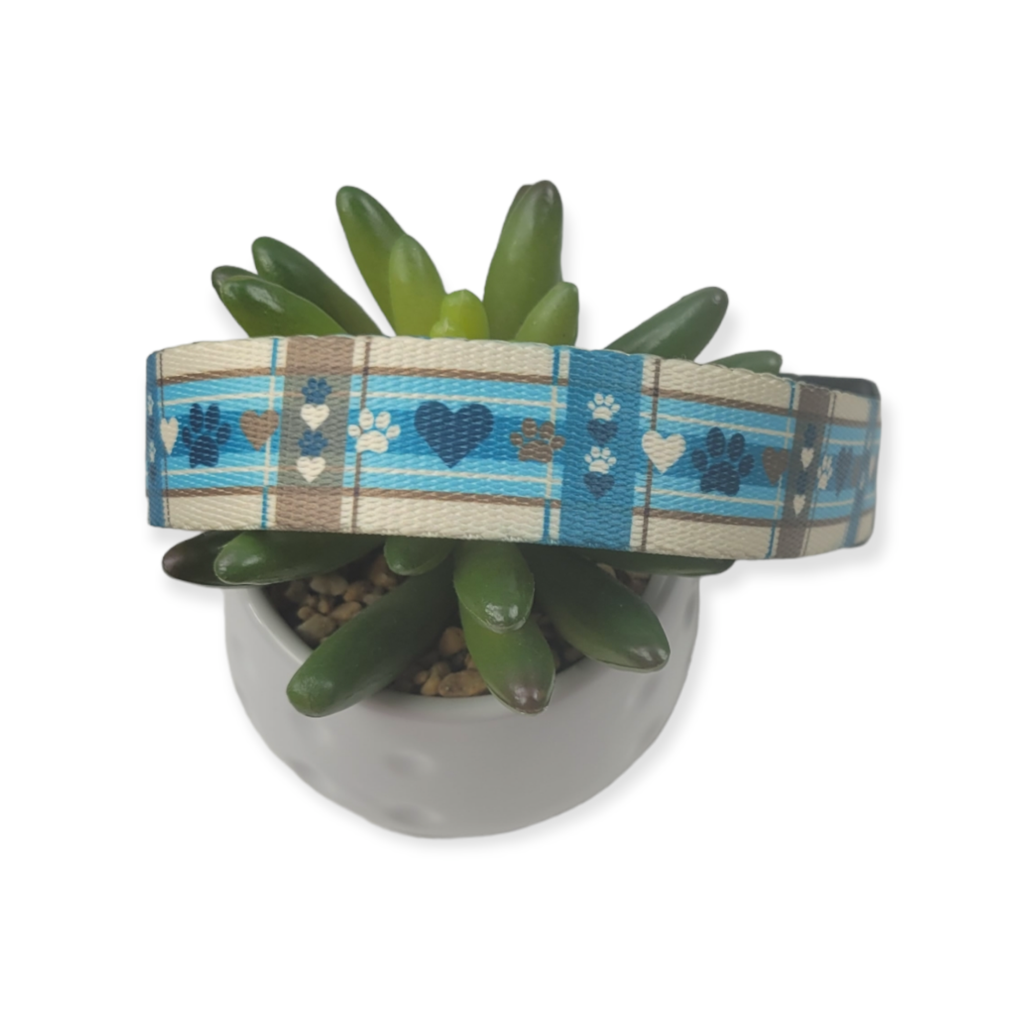 Puppy Picnic Dog Collar (Large)