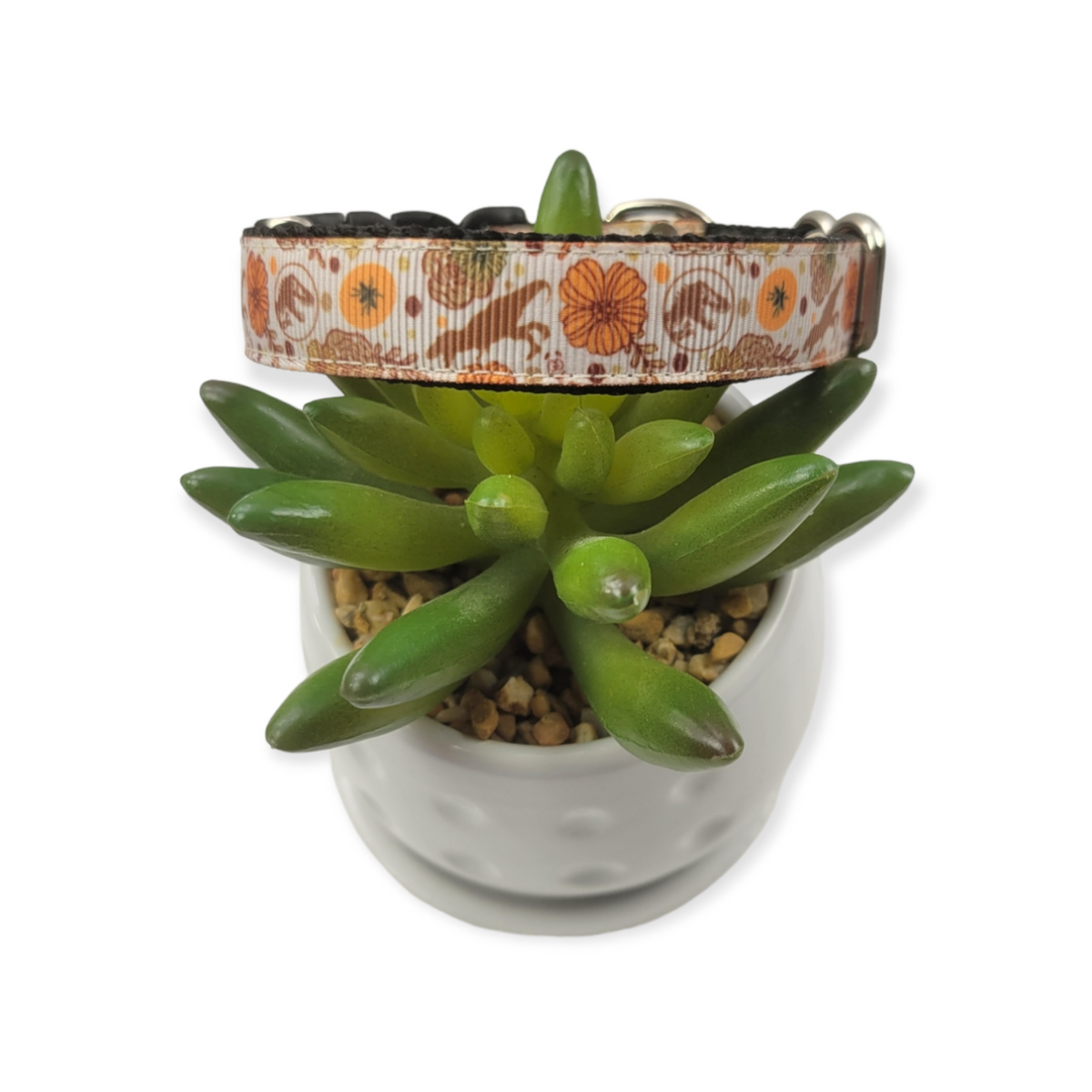Jurassic Floral dog collar (Small)