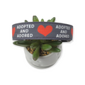 Adopted & Adored Dog Collar (Large)
