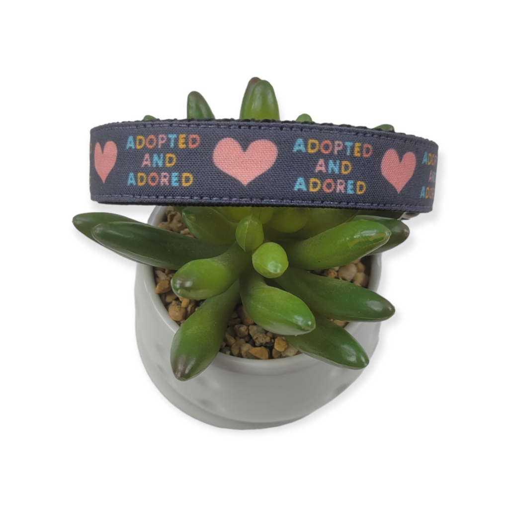 Adopted & Adored dog collar (Medium)